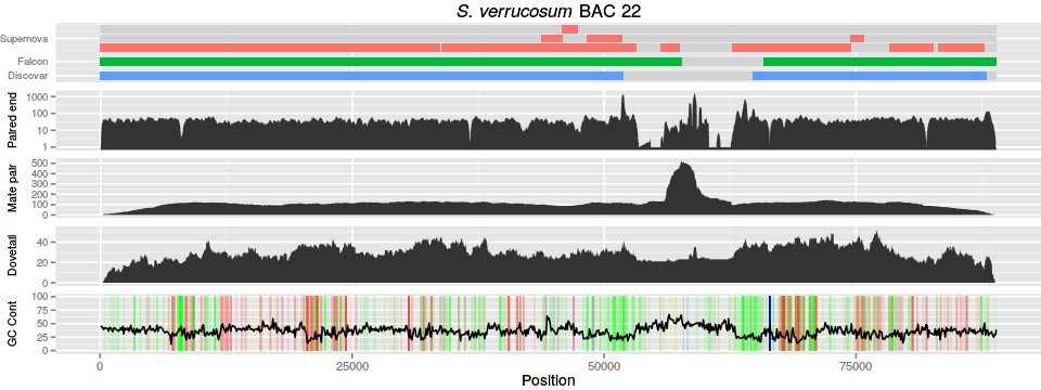 bac22-pacbio.png