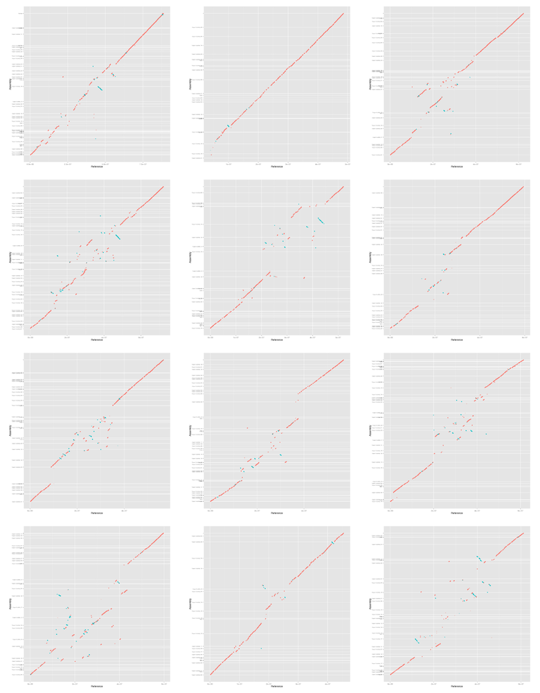 mummerplot-10x-bn-i90-l10000-all-gg.png