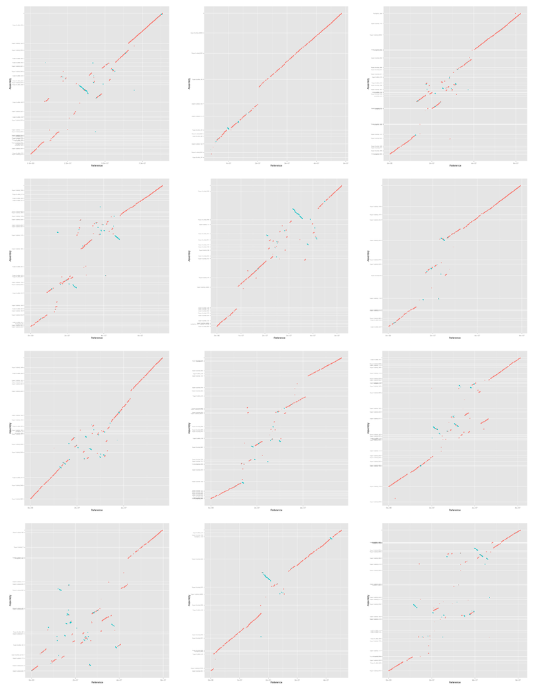 mummerplot-discovar-mp-dt-bn-i90-l10000-all-gg.png