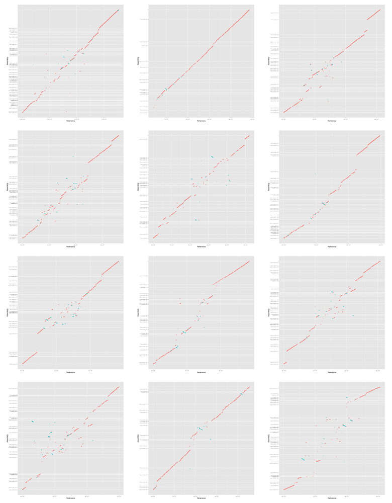 mummerplot-falcon-dt-bn-2-i90-l10000-all-gg.png